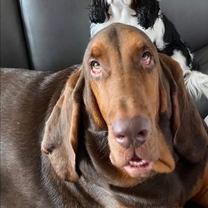 Meet your Posher, Jarryd